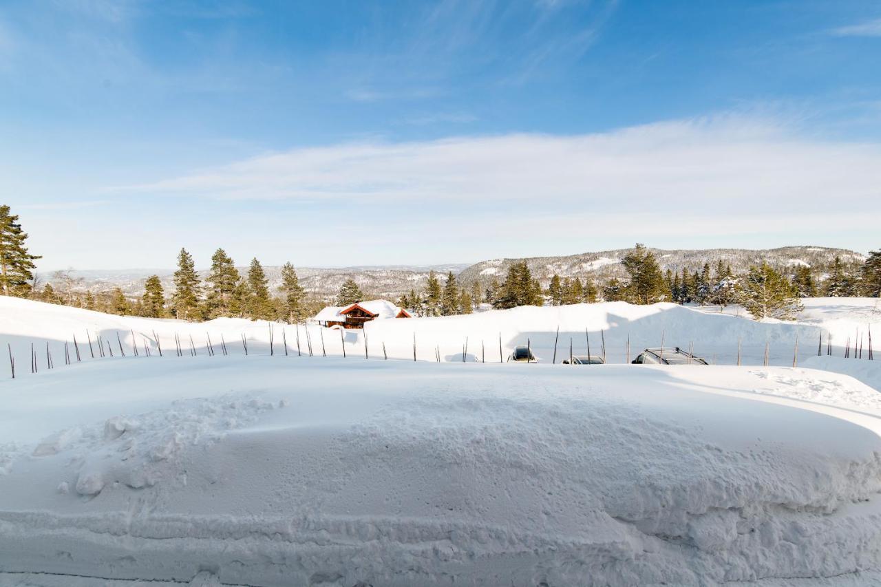 Blefjell Lodge Lampeland Εξωτερικό φωτογραφία